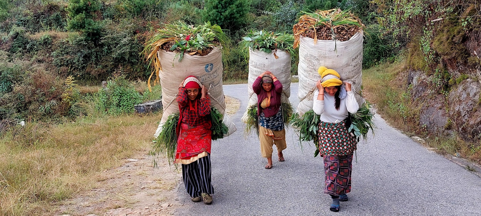 Photos from our Nepal Cycling Holiday